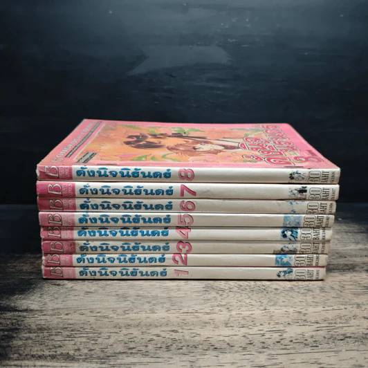 ดั่งนิจนิรันดร์ 8 เล่มจบ รูปที่ 2