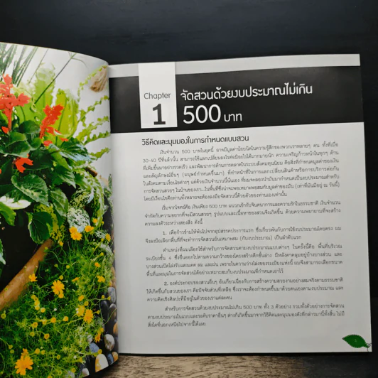 สวนสวยจัดได้ด้วยตนเอง ทาวน์เฮ้าส์ ดาดฟ้าตึกแถว คอนโด รูปที่ 8