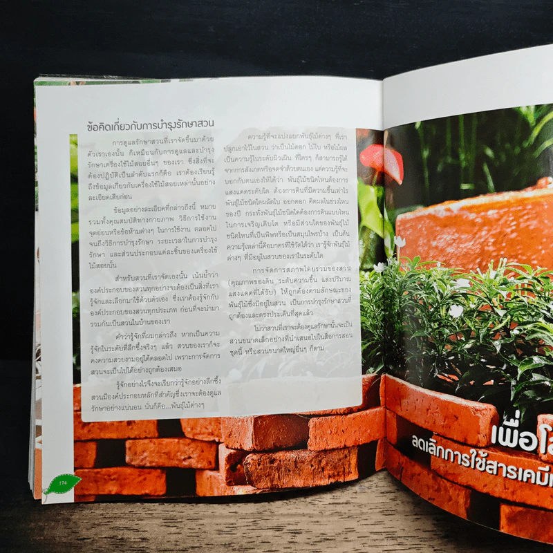 สวนสวยจัดได้ด้วยตนเอง ทาวน์เฮ้าส์ ดาดฟ้าตึกแถว คอนโด รูปที่ 10