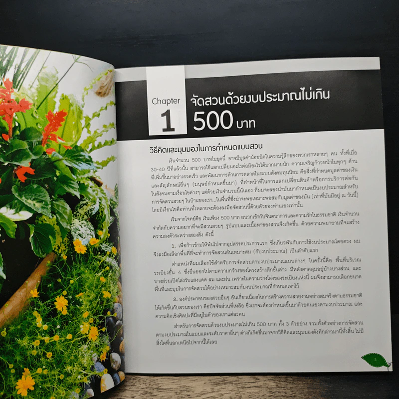 สวนสวยจัดได้ด้วยตนเอง ทาวน์เฮ้าส์ ดาดฟ้าตึกแถว คอนโด รูปที่ 8