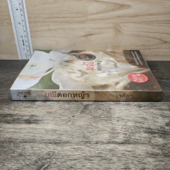 มณีดอกหญ้า - เจติยา รูปที่ 2