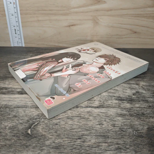 เจ้าหญิงของนาย เจ้าชายของฉัน - นภชล & หนุ่มกรุงโซล รูปที่ 3