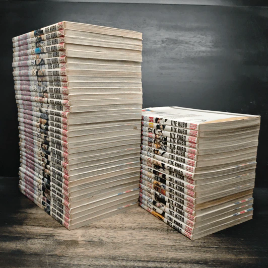 Bleach เทพมรณะ เล่ม 1-54 รูปที่ 3