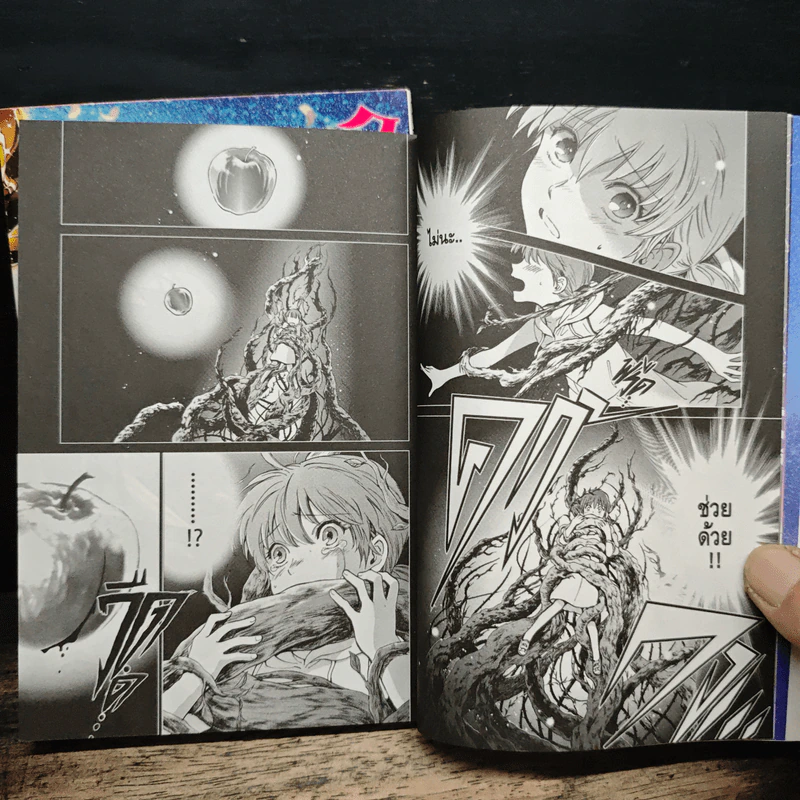 เซนต์เซย์ย่า Saint Seiya Saintia Sho เล่ม 1-2 รูปที่ 8