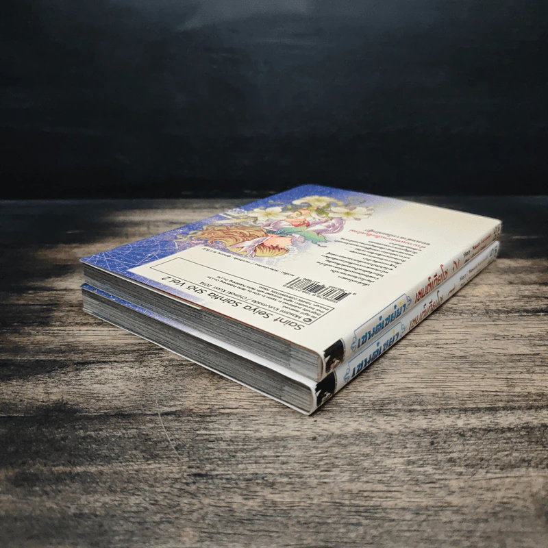 เซนต์เซย์ย่า Saint Seiya Saintia Sho เล่ม 1-2 รูปที่ 5