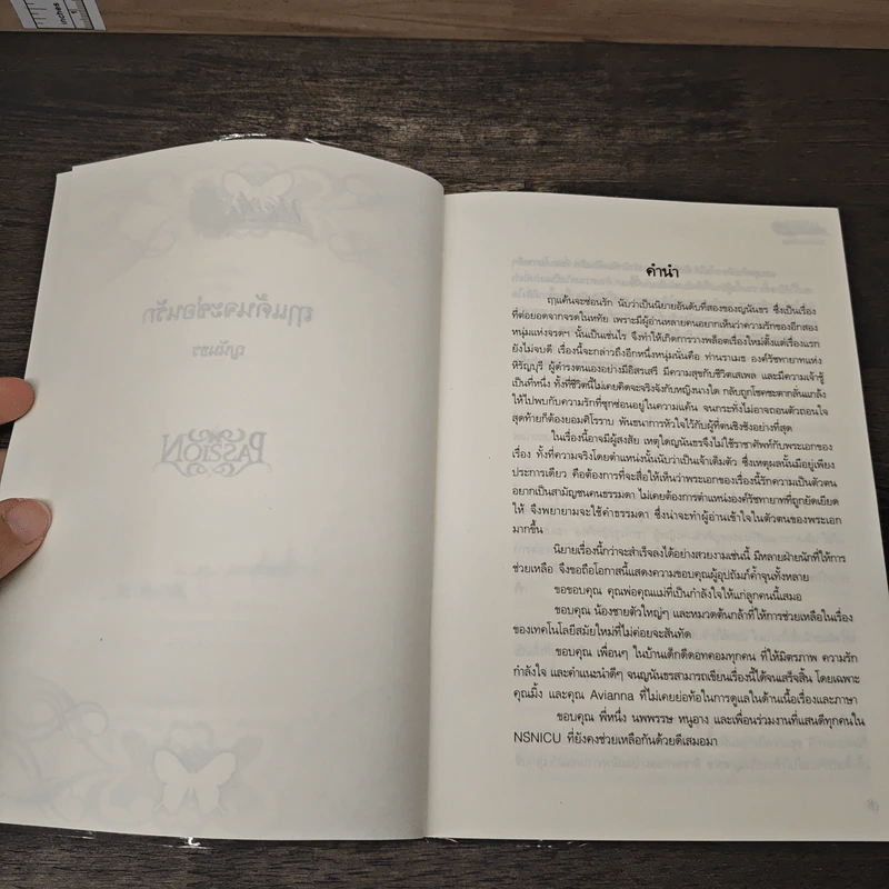 ฤๅแค้นจะซ่อนรัก - ญนันธร รูปที่ 7