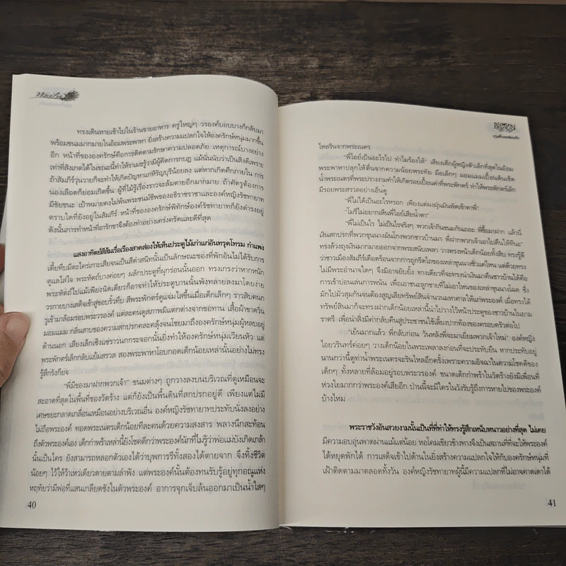 ฤๅแค้นจะซ่อนรัก - ญนันธร รูปที่ 8