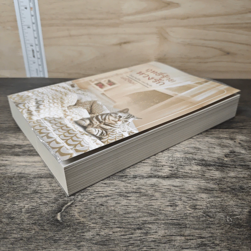ฤทธิ์ร้ายหวงรัก - มณีจันท์ รูปที่ 3