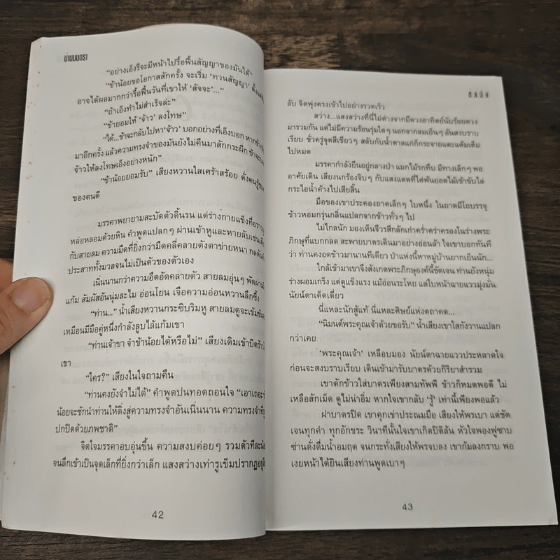 ม่านมนตรา - ชลนิล รูปที่ 7