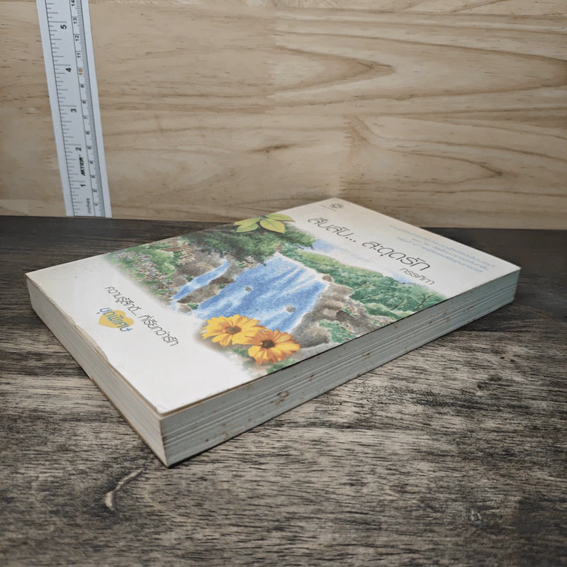 สืบลับ...สะดุดรัก - ทรรศิกา รูปที่ 3