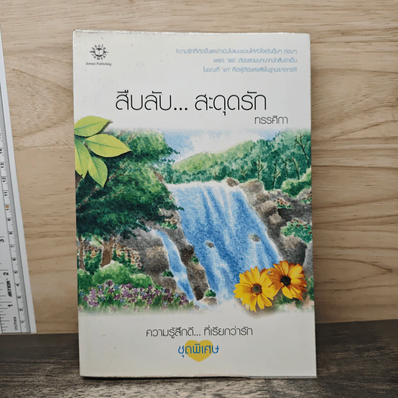สืบลับ...สะดุดรัก - ทรรศิกา รูปที่ 1