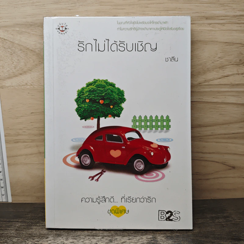 รักไม่ได้รับเชิญ - ชาลีน รูปที่ 1