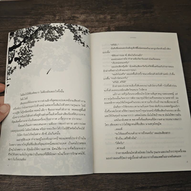 พายุร่ายรำ รูปที่ 6