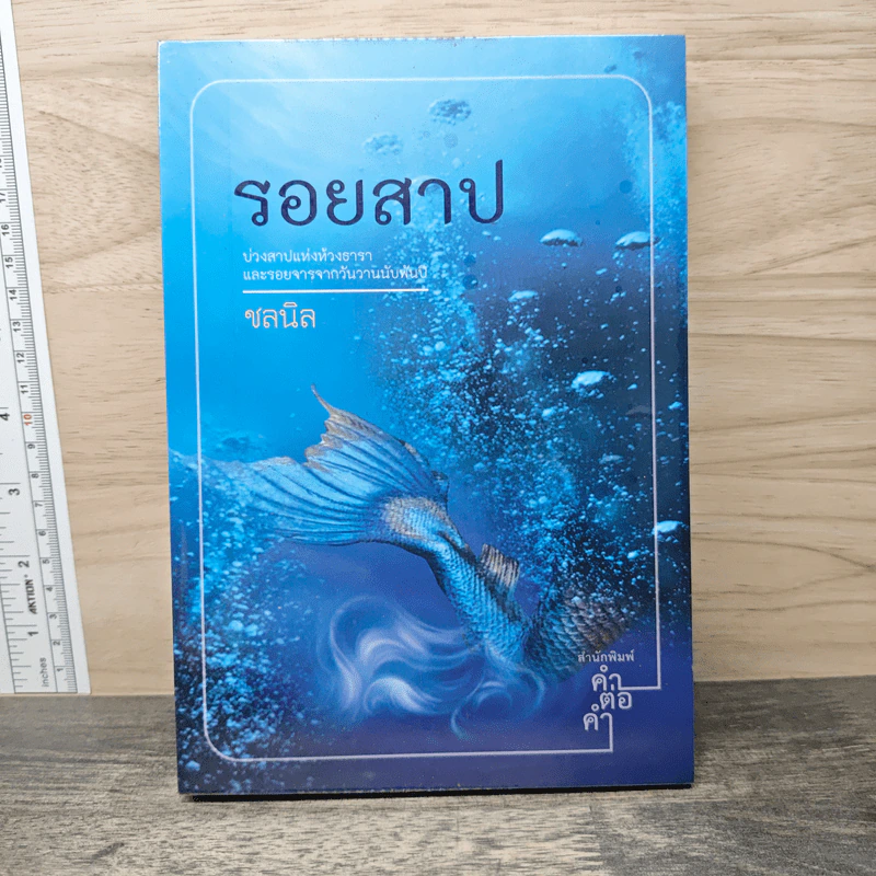 รอยสาป - ชลนิล รูปที่ 1