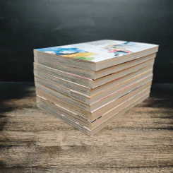 บันทึกใสจากวัยฝัน เล่ม 1-9 - IO SAKISAKA รูปที่ 3