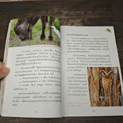 สารานุกรมไทยสำหรับเยาวชน เล่ม 7 รูปที่ 6
