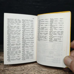 Langenscheidts Universal-Worterbuch Englisch (Englisch-Deutsch, Deutsch-Englisch) รูปที่ 8