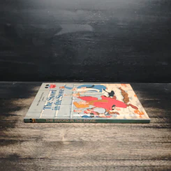 The Sword in the Stone รูปที่ 3