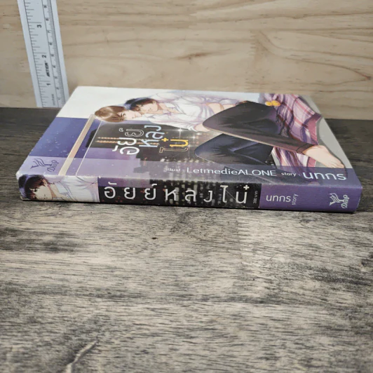 นิยายวาย อัยย์หลงไน๋ - นทกร รูปที่ 2