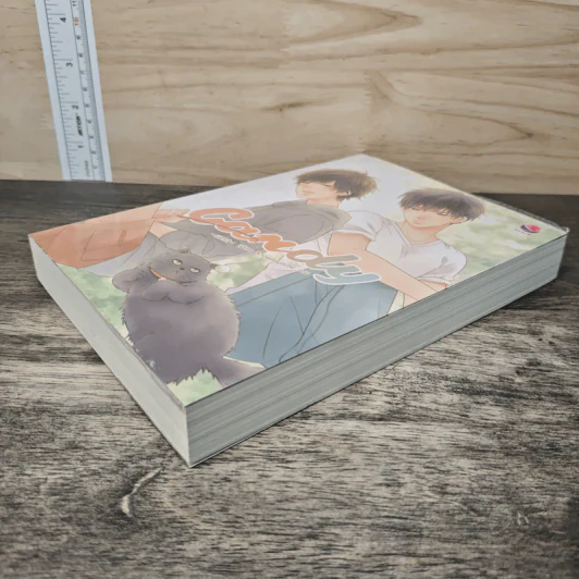 Candy - West รูปที่ 3