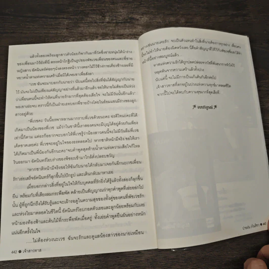เจ้าสาวทาส - ปายฝน รูปที่ 8