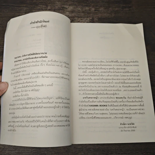 แจกันดอกหญ้า - ชอนตะวัน รูปที่ 7