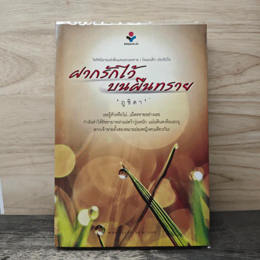 ฝากรักไว้บนผืนทราย - ภูชิดา รูปที่ 1