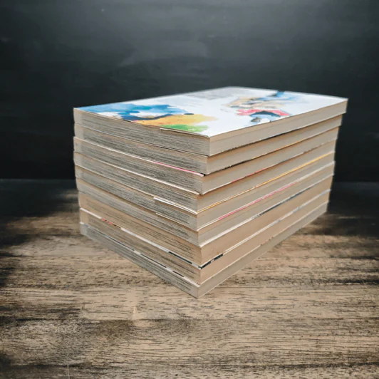 บันทึกใสจากวัยฝัน เล่ม 1-9 - IO SAKISAKA รูปที่ 3