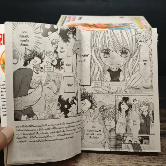 รักนี้หวานบาดใจ เล่ม1-16,18 รูปที่ 6