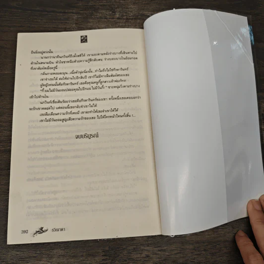 รุ้งปลายเมฆ - รวิญาดา รูปที่ 8