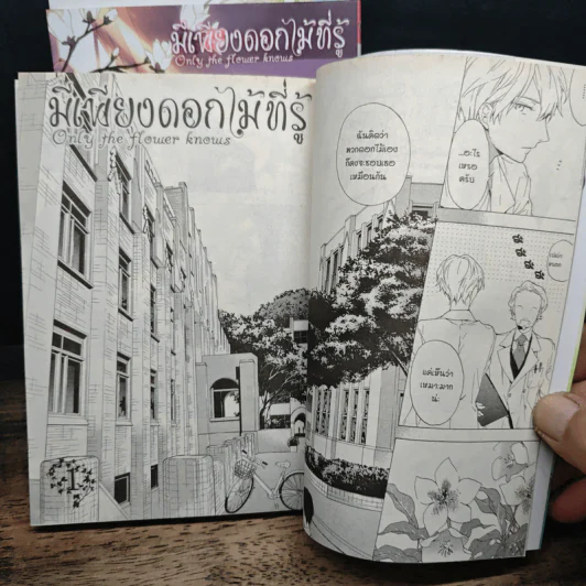 การ์ตูนวาย มีเพียงดอกไม้ที่รู้ 3 เล่มจบ + คือดอกไม้ที่กลางใจ + โปสการ์ด Boxset รูปที่ 11