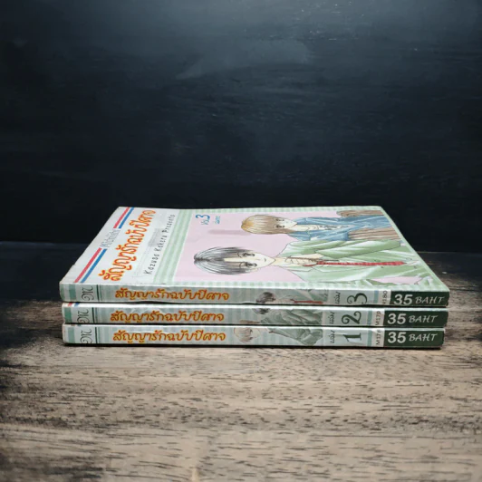 สัญญารักฉบับปีศาจ 3 เล่ม จบ รูปที่ 3
