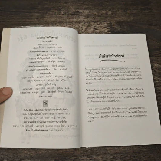 รอยหม่นไหม้ในสายรุ้ง - กุมาริกา รูปที่ 6