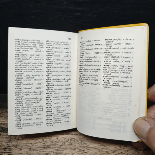 Langenscheidts Universal-Worterbuch Englisch (Englisch-Deutsch, Deutsch-Englisch) รูปที่ 8