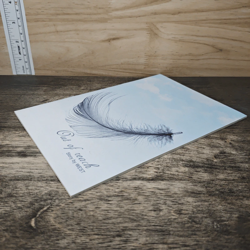 Out of reach - west รูปที่ 3
