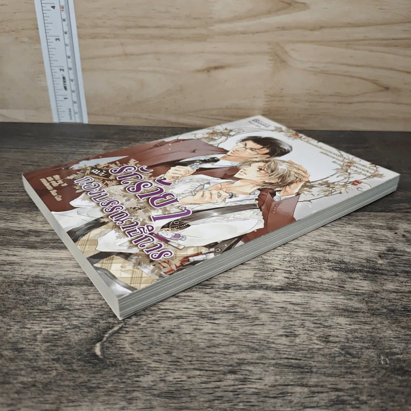 รักร้ายๆกองบรรณาธิการ - Lou Yi รูปที่ 3