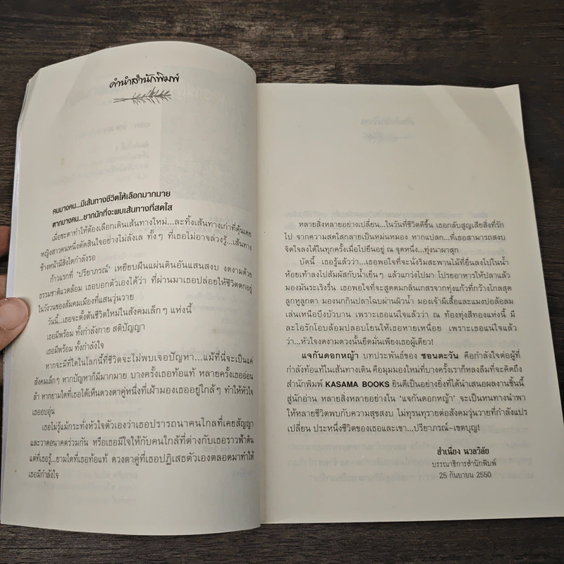 แจกันดอกหญ้า - ชอนตะวัน รูปที่ 7