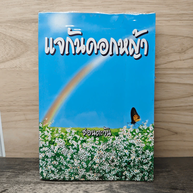 แจกันดอกหญ้า - ชอนตะวัน รูปที่ 1
