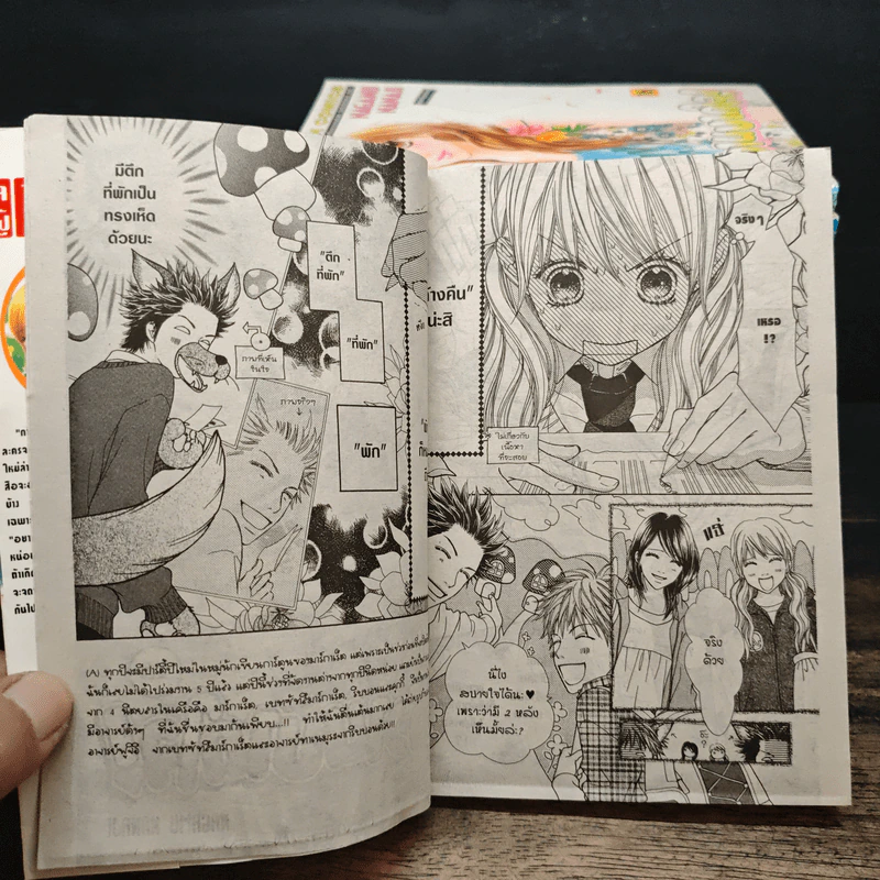 รักนี้หวานบาดใจ เล่ม1-16,18 รูปที่ 6