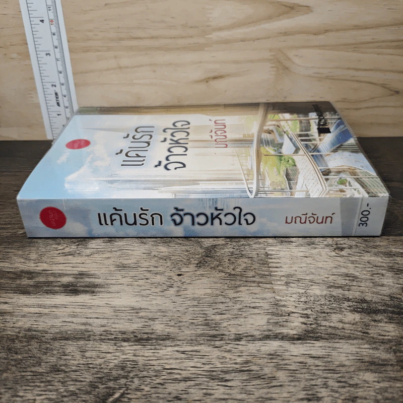 แค้นรักจ้าวหัวใจ - มณีจันท์ รูปที่ 2