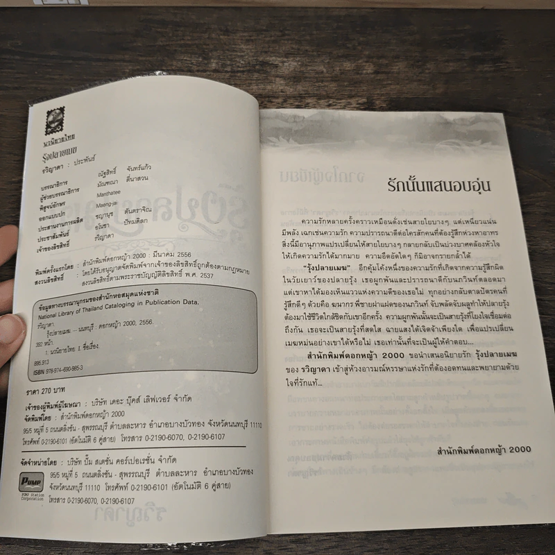 รุ้งปลายเมฆ - รวิญาดา รูปที่ 6