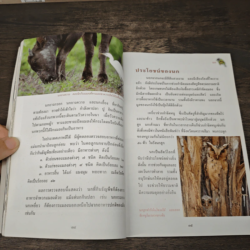 สารานุกรมไทยสำหรับเยาวชน เล่ม 7 รูปที่ 6