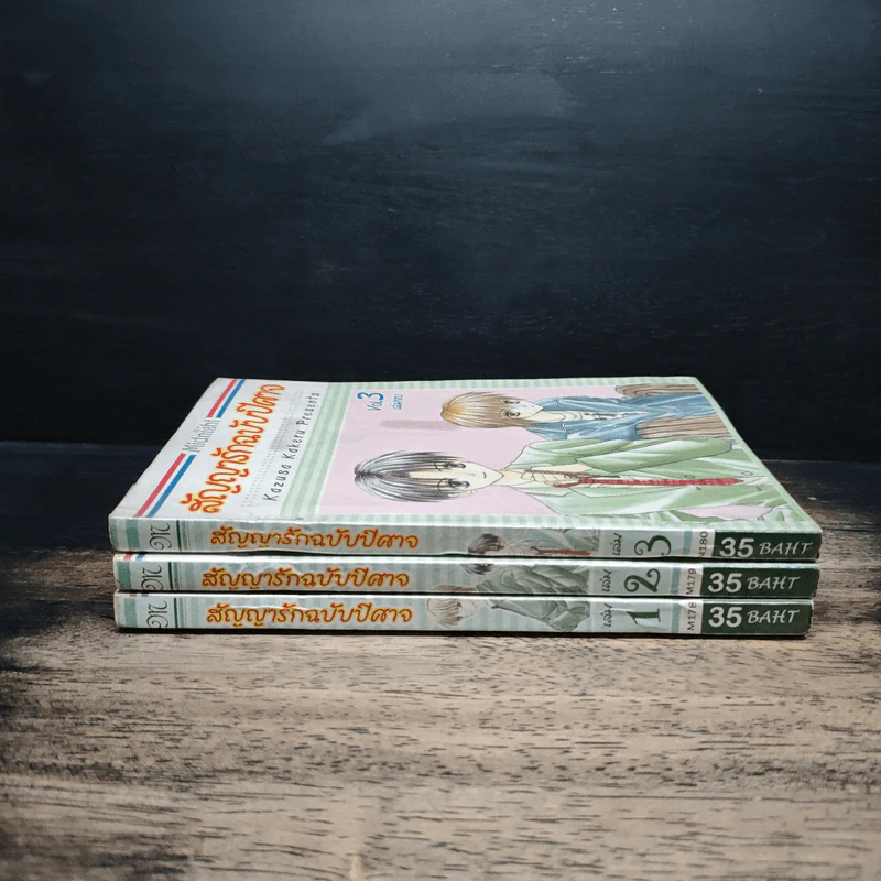 สัญญารักฉบับปีศาจ 3 เล่ม จบ รูปที่ 3