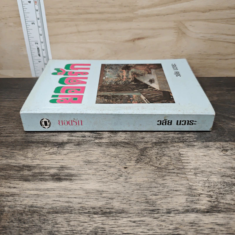 ยอดรัก - วลัย นวาระ รูปที่ 2
