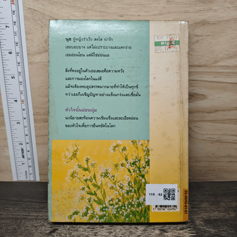 หัวใจนั้นอ่อนนุ่ม - ศรีฟ้า ลดาวัลย์ รูปที่ 5