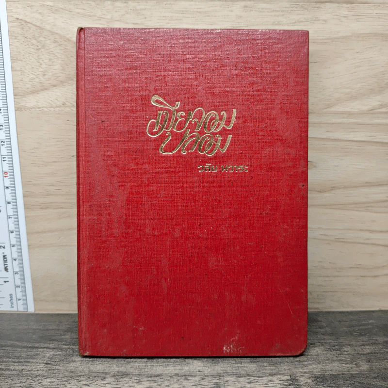 เมียจอมปลอม - วลัย นวาระ รูปที่ 1