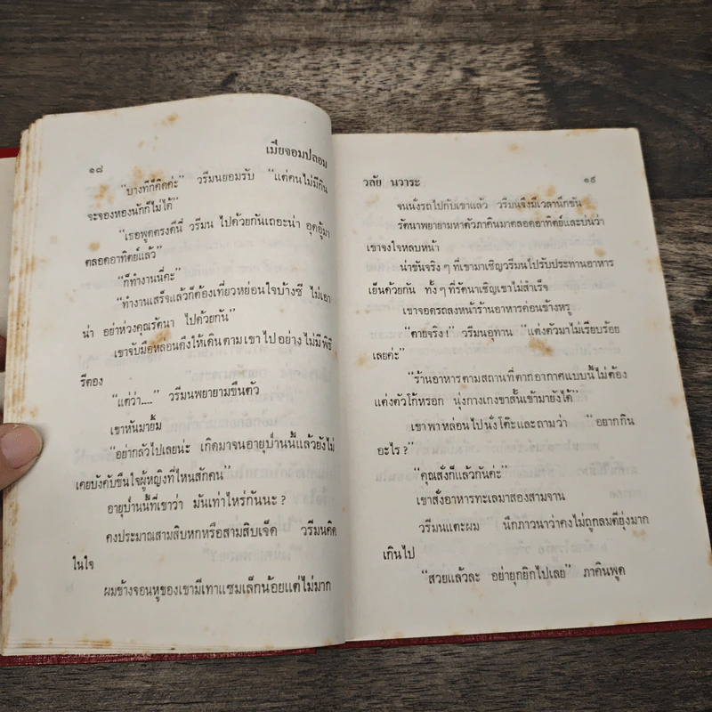 เมียจอมปลอม - วลัย นวาระ รูปที่ 7