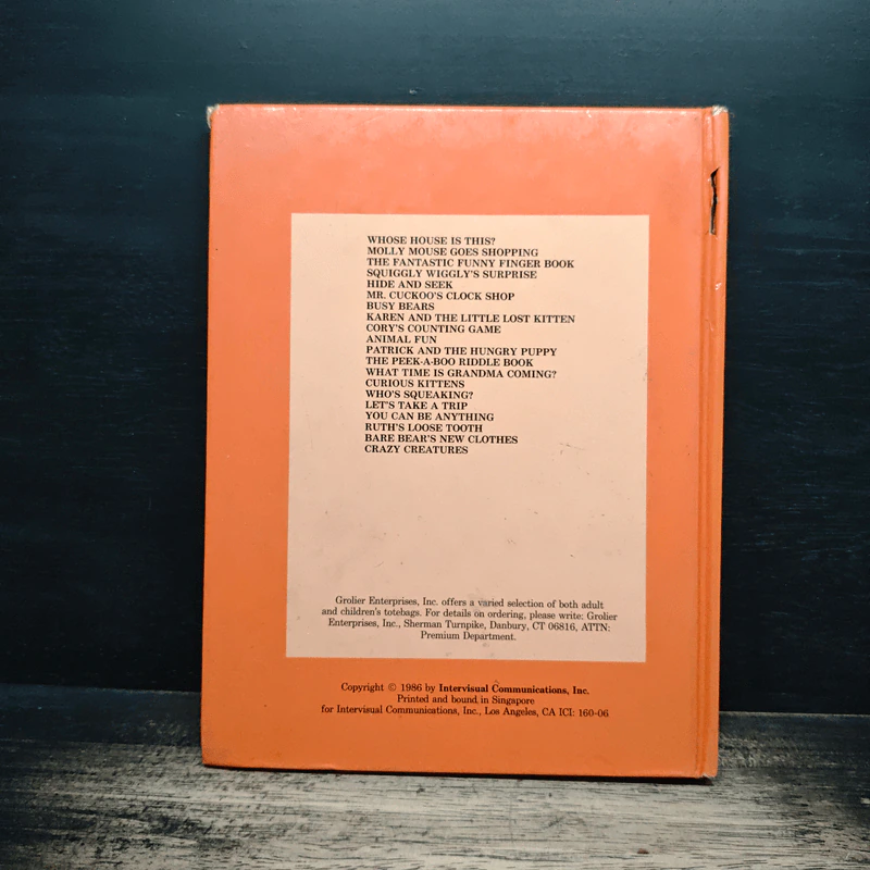 Hide and Seek - Grolier รูปที่ 2