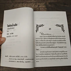 ไฟกับน้ำแข็ง - กรุง ญ. ฉัตร รูปที่ 6