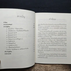 สมถะเท้าขวา วิปัสสนาเท้าซ้าย - พศิน อินทรวงศ์ รูปที่ 7